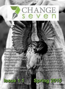 Issue 1.1, Spring 2015