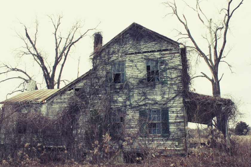 "Farm 5" by Rachel Kertz