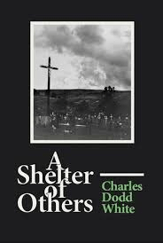 Read A Shelter of Others