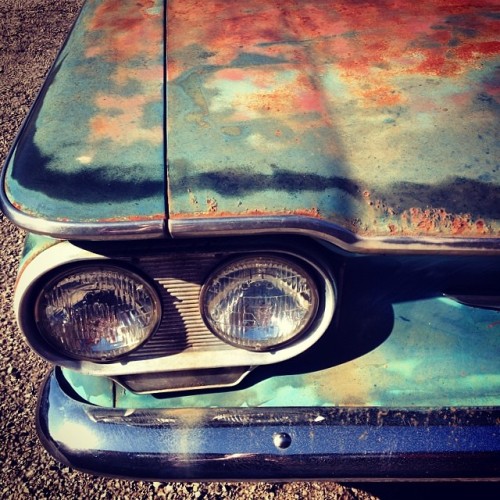 rusted car hood
