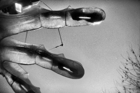 "Fingers" via morgueFile